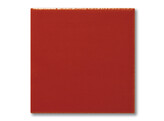 Terra Color FM-5808 Rot matt  200 ml