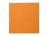 Terra Color FM-5811 Orange matt  200 ml