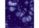 Mayco Crystalites S-2716 Celestial Blue  118 ml