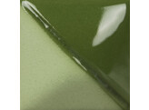 Mayco Fundamentals UG-21 Leaf Green  59 ml