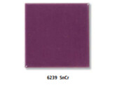 Pigment Violet PM6239  100 g