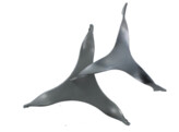 Triangel metaal  60 mm
