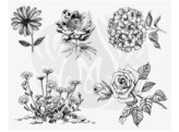 Mayco Designer Silkscreen Flowers 3-XL  DSS-0149
