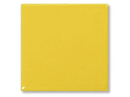 Pigment Zonnegeel  100 g
