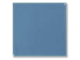 Pigment Turquoise  100 g