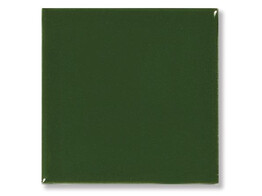 Pigment Bladgroen  100 g