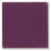 Pigment Violet  100 g