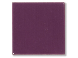 Pigment Violet  100 g