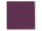 Pigment Violet  100 g