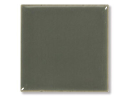Pigment Grijs  100 g