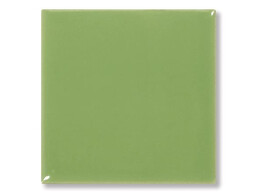 Pigment Groen  100 g