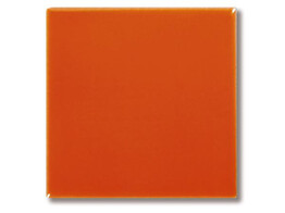 Pigment Oranje  100 g