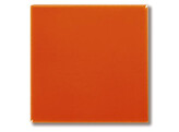 Pigment Oranje  100 g